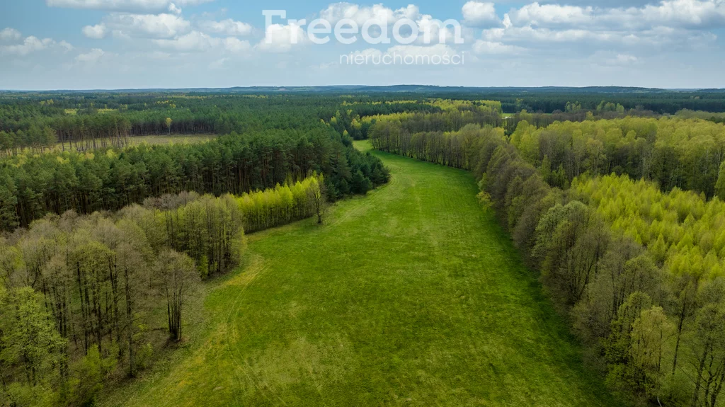 Działka 158 700,00 m², oferta nr , 7620/3685/OGS, Przeździęk Wielki