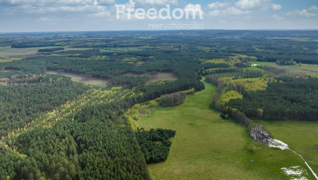 Działka 158 700,00 m², oferta nr , 7620/3685/OGS, Przeździęk Wielki