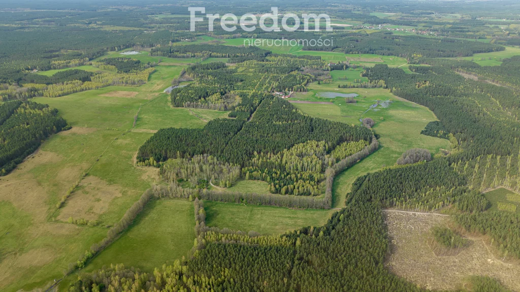 Działka 158 700,00 m², oferta nr , 7620/3685/OGS, Przeździęk Wielki