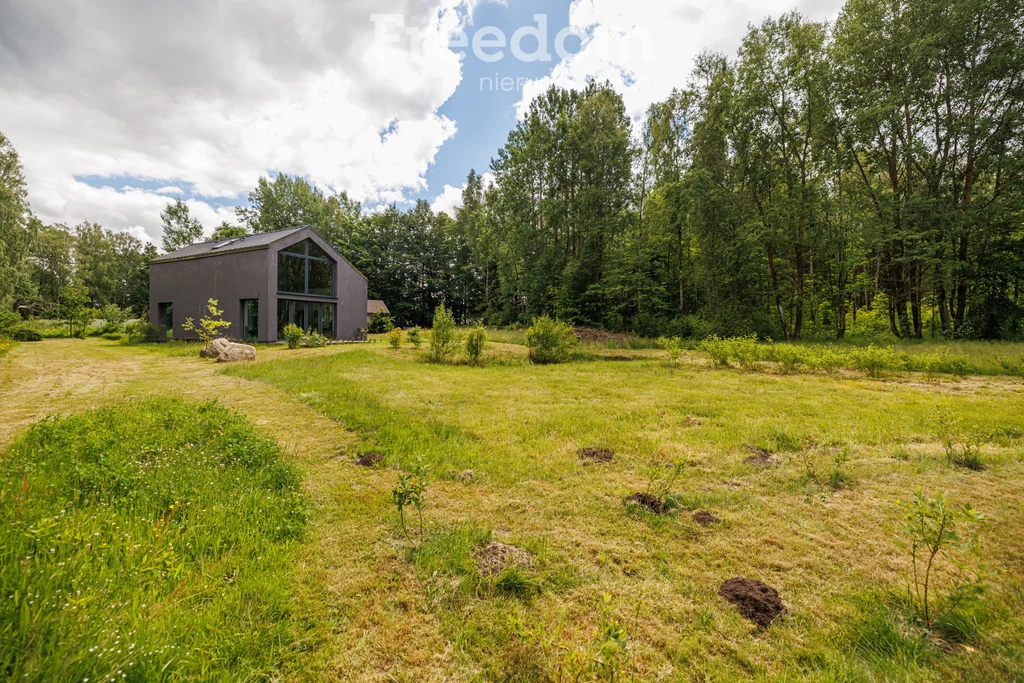 Działka 15 500,00 m², oferta nr , 10827/3685/OGS, Przyjaźń