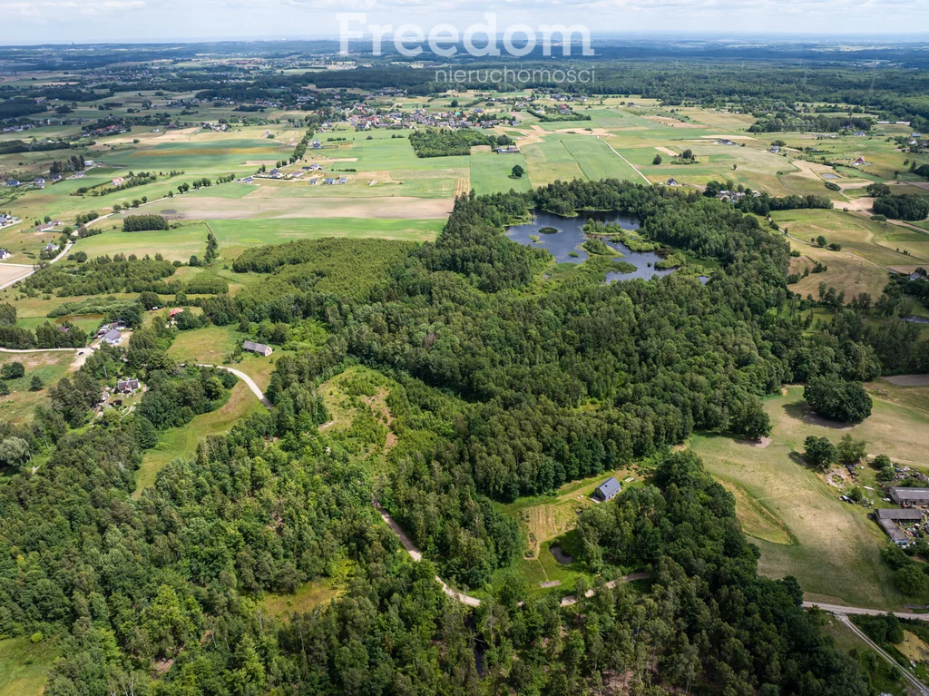 Działka 15 500,00 m², oferta nr , 10827/3685/OGS, Przyjaźń