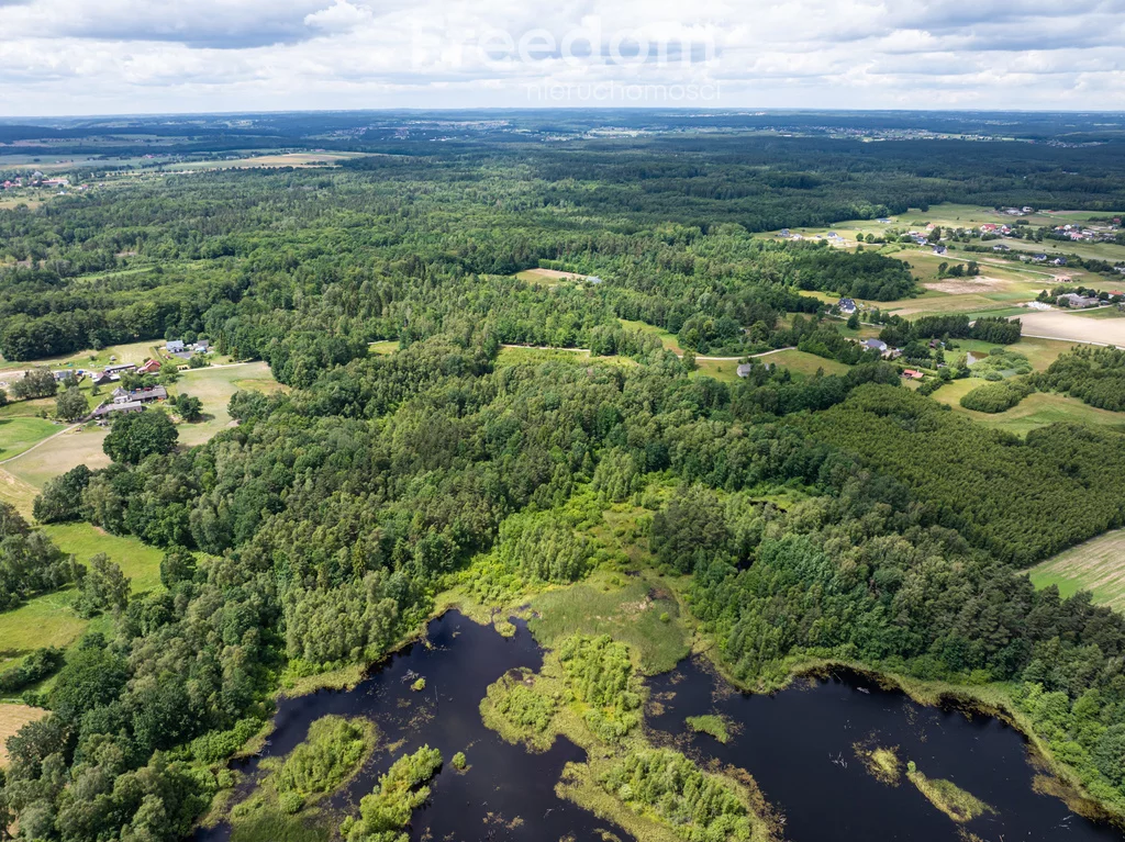 Działka 15 500,00 m², oferta nr , 10827/3685/OGS, Przyjaźń