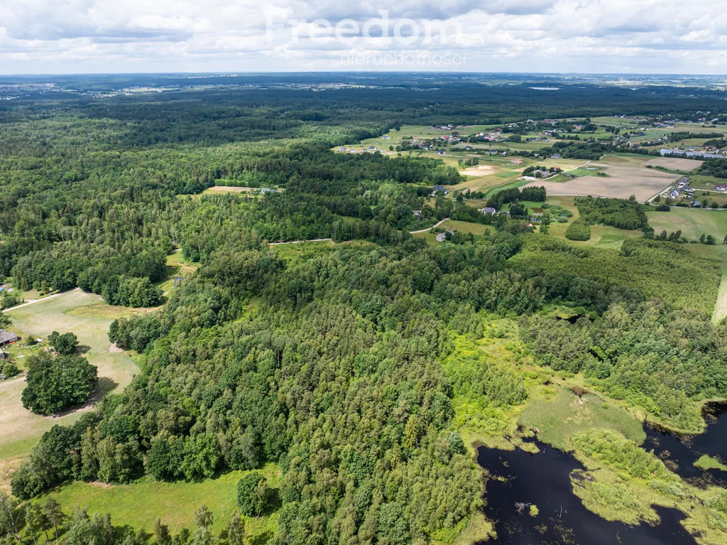 Działka 15 500,00 m², oferta nr , 10827/3685/OGS, Przyjaźń