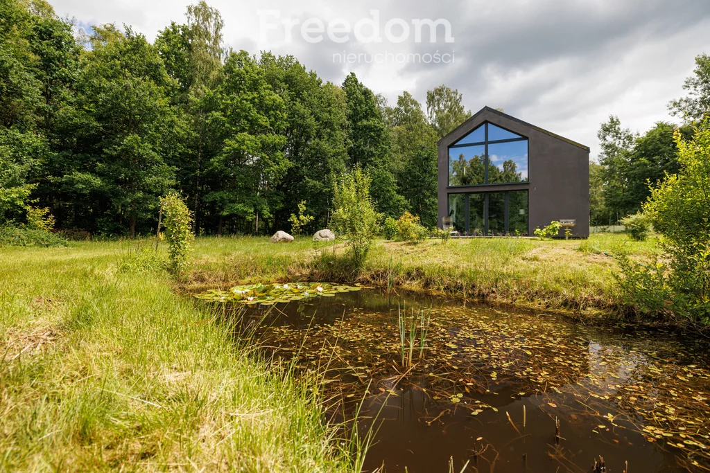 Działka 15 500,00 m², oferta nr , 10827/3685/OGS, Przyjaźń