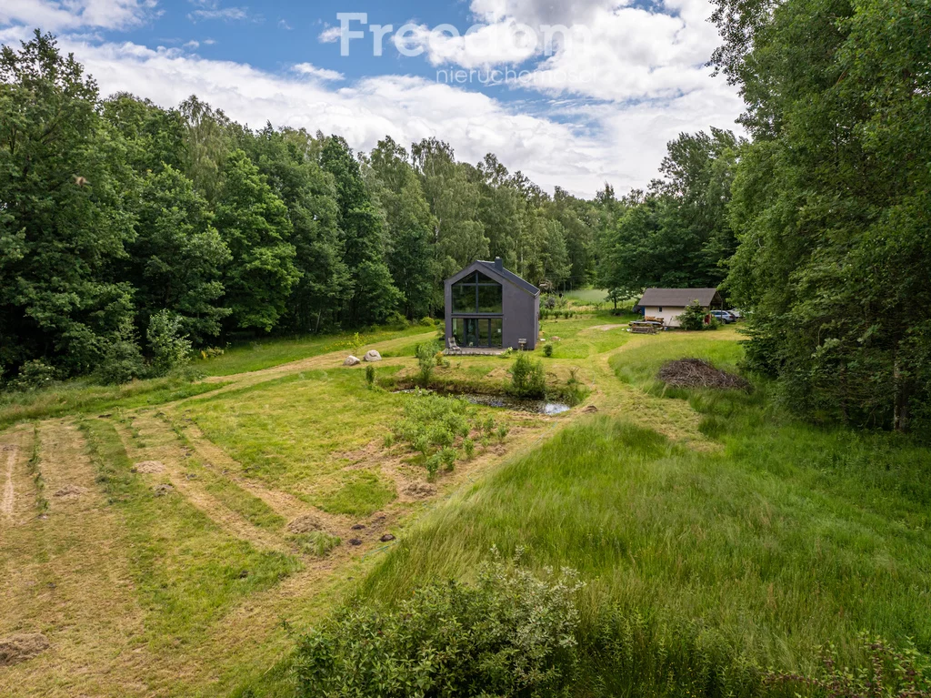 Działka 15 500,00 m², oferta nr , 10827/3685/OGS, Przyjaźń