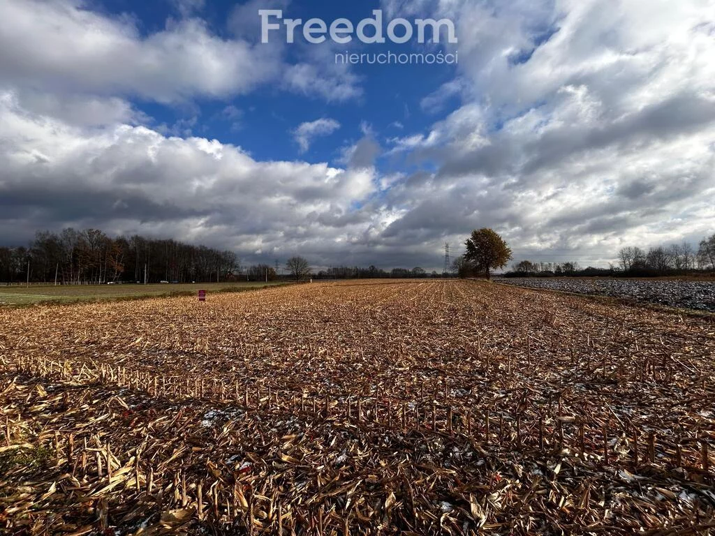 Działka 5 920,00 m², oferta nr , 9130/3685/OGS, Smolice, Przyległa
