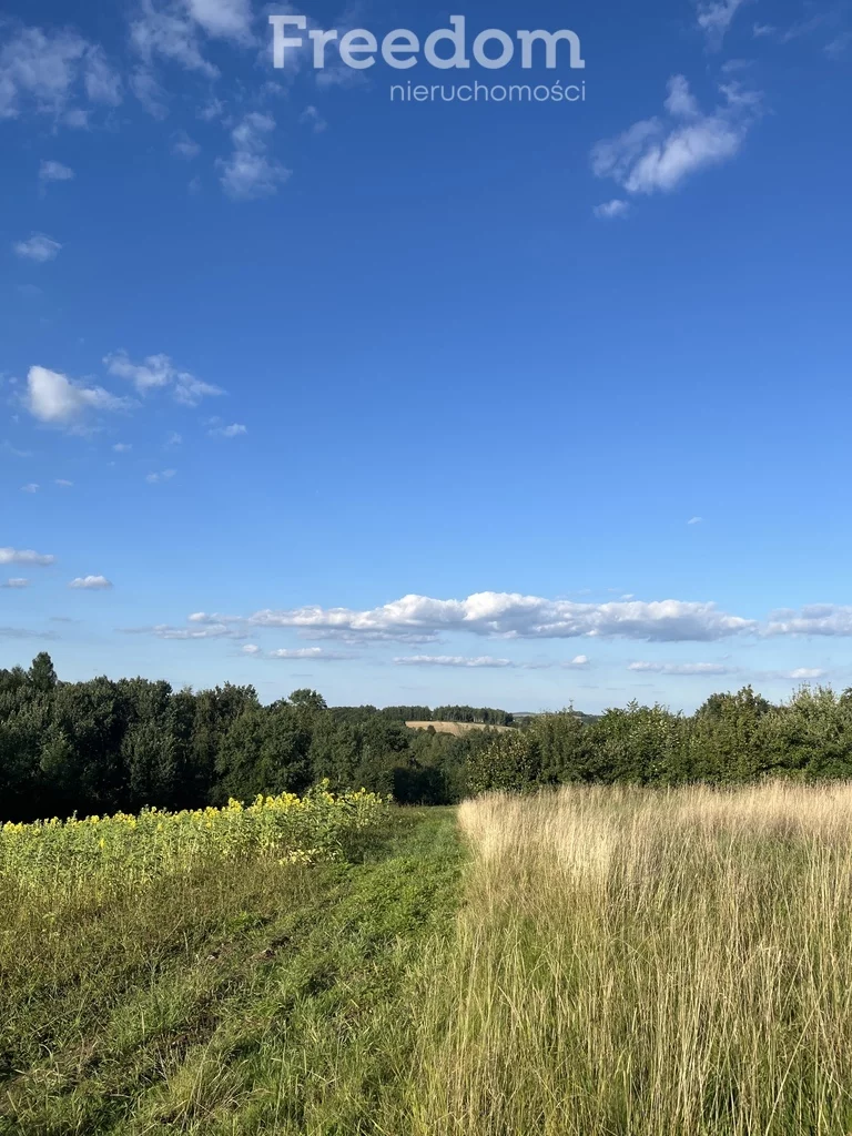 Działka 4 600,00 m², oferta nr , 8283/3685/OGS, Raciechowice