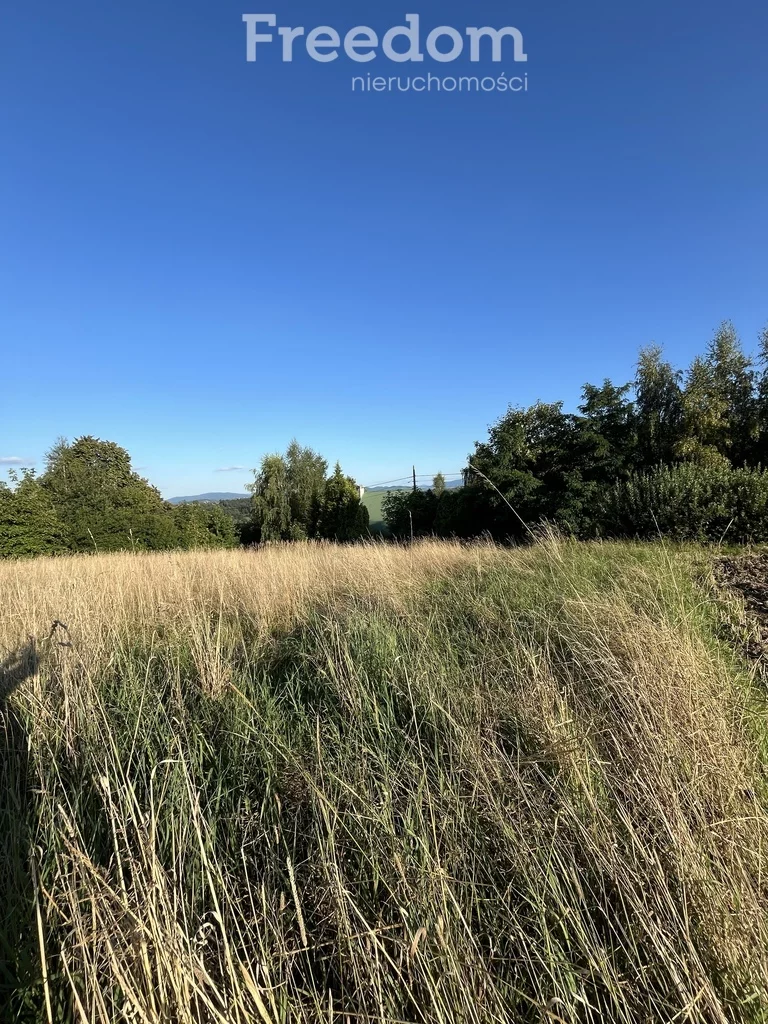 Działka 4 600,00 m², oferta nr , 8283/3685/OGS, Raciechowice