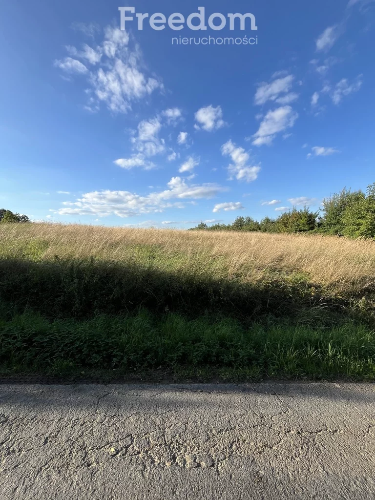 Działka 4 600,00 m², oferta nr , 8283/3685/OGS, Raciechowice