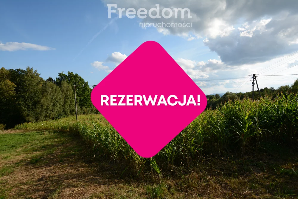 Apartamenty 11172/3685/OGS Radocza