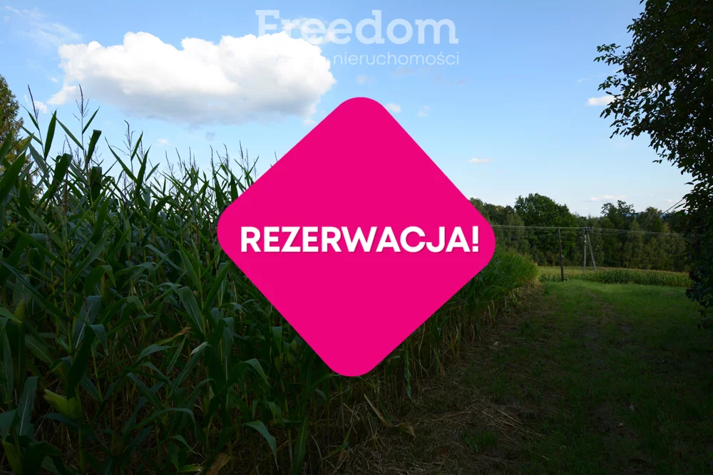 Działka 910,00 m², oferta nr , 11172/3685/OGS, Radocza