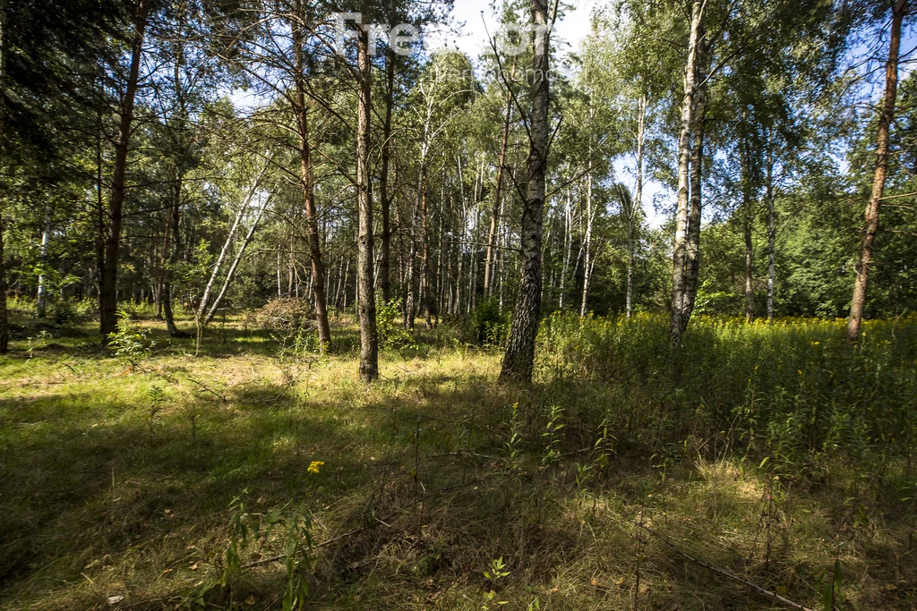 Działka 8 100,00 m², oferta nr , 11247/3685/OGS, Rakszawa