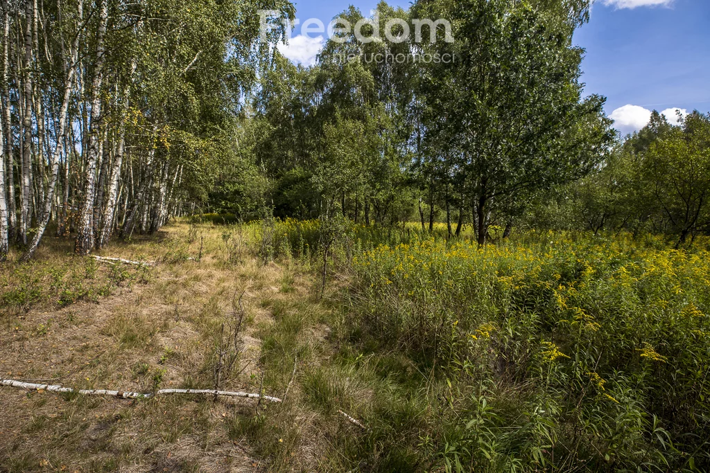 Działka 8 100,00 m², oferta nr , 11247/3685/OGS, Rakszawa