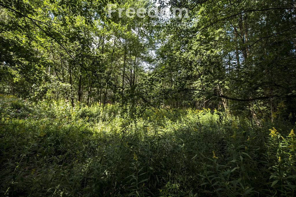 Działka 1 900,00 m², oferta nr , 11248/3685/OGS, Rakszawa