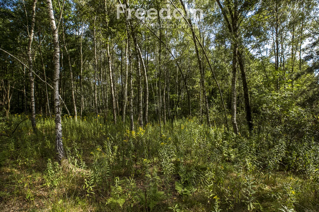 Działka 1 900,00 m², oferta nr , 11248/3685/OGS, Rakszawa