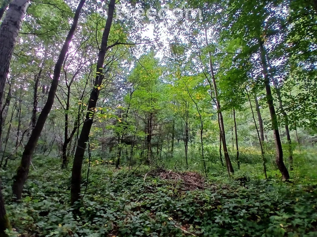 Działka 1 900,00 m², oferta nr , 11248/3685/OGS, Rakszawa