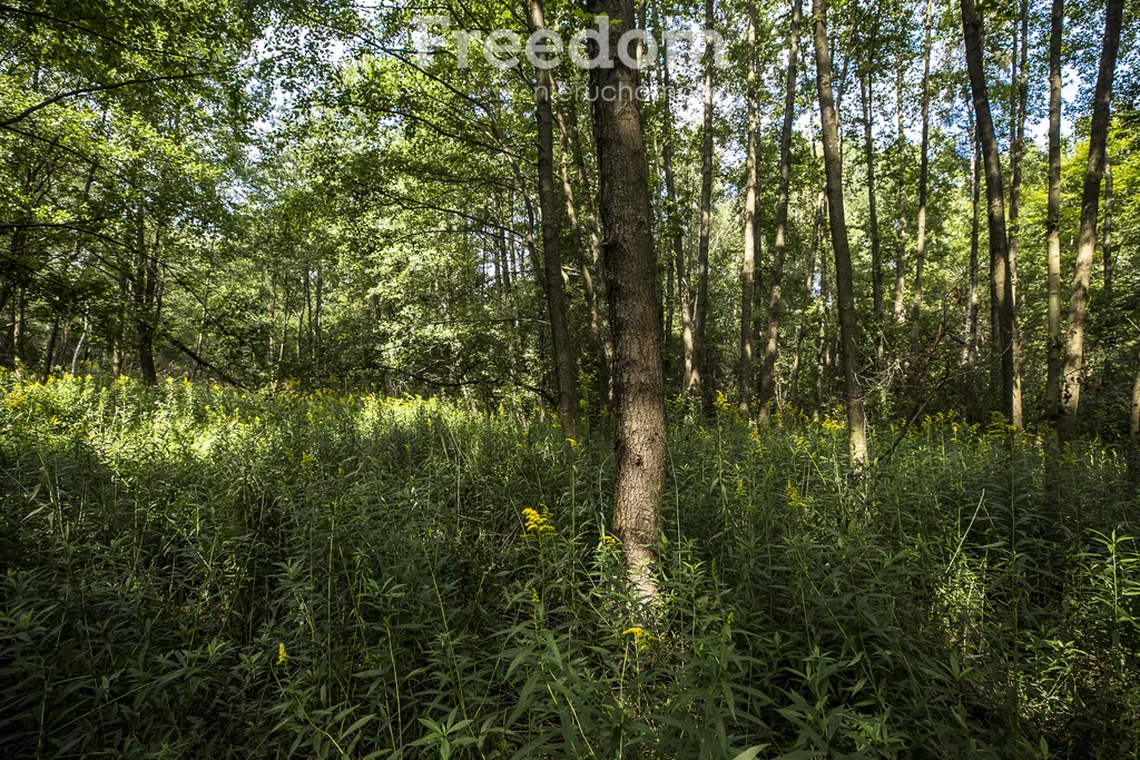 Działka 1 900,00 m², oferta nr , 11248/3685/OGS, Rakszawa