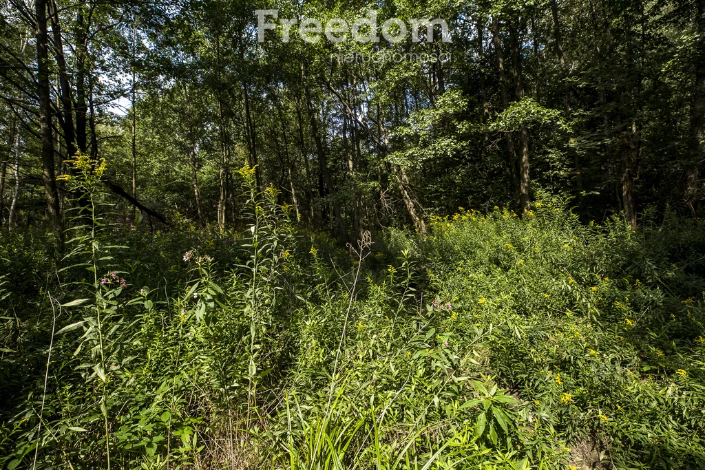 Działka 1 900,00 m², oferta nr , 11248/3685/OGS, Rakszawa