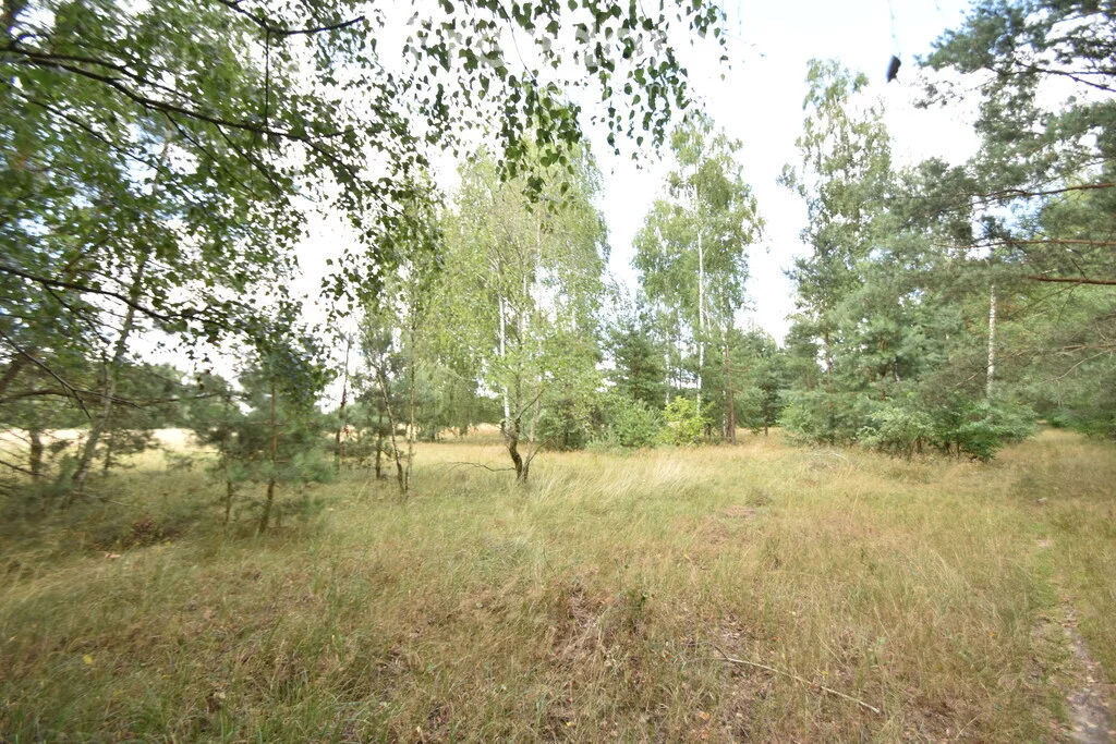 11120/3685/OGS - zdjęcie nr 0