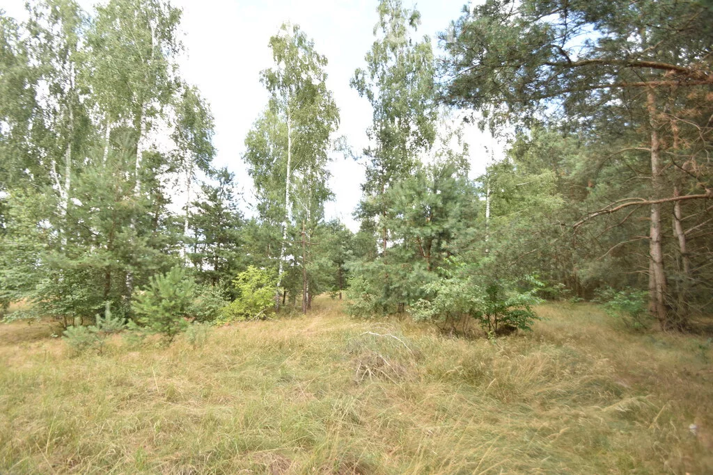 11120/3685/OGS - zdjęcie nr 1