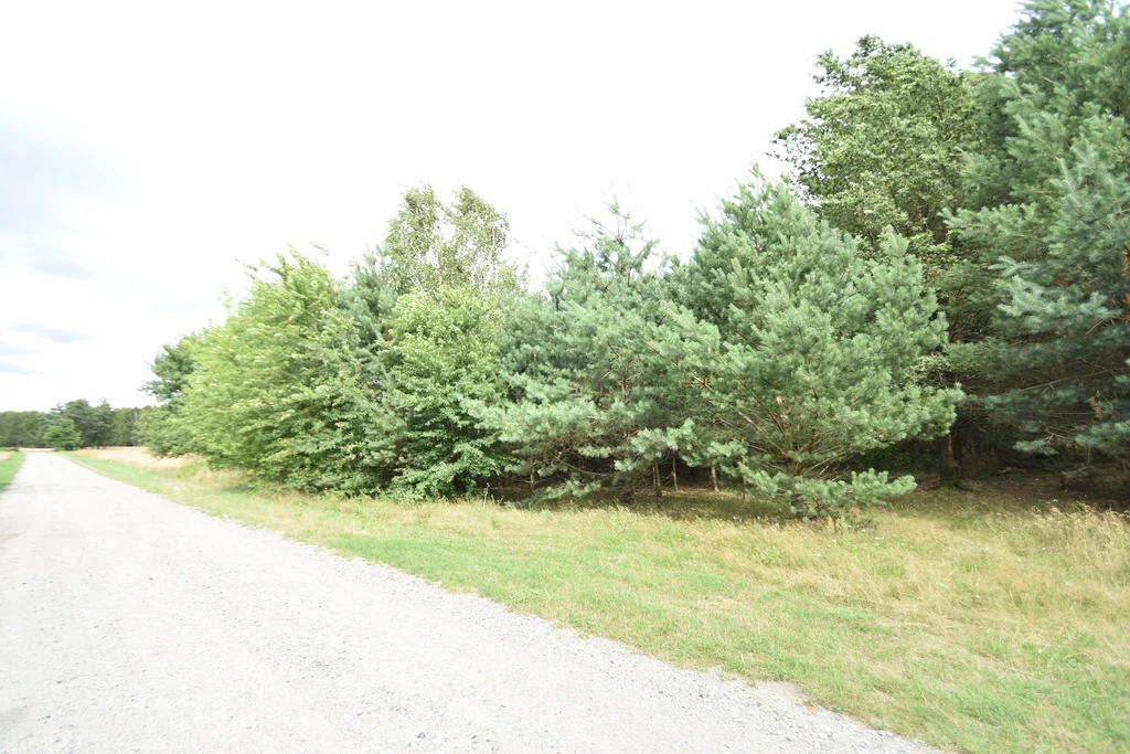 11120/3685/OGS - zdjęcie nr 3