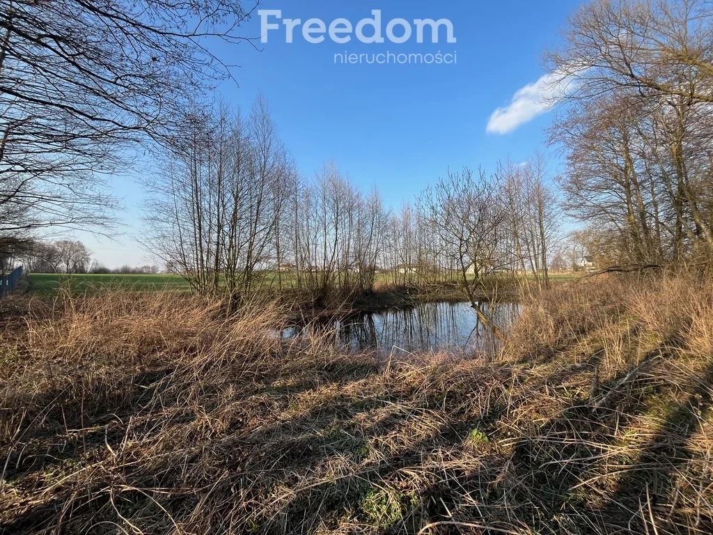 Działka 3 477,00 m², oferta nr , 10250/3685/OGS, Grębocin, Rogowska