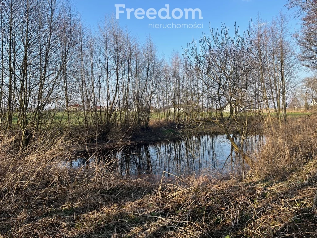 Działka 3 477,00 m², oferta nr , 10250/3685/OGS, Grębocin, Rogowska