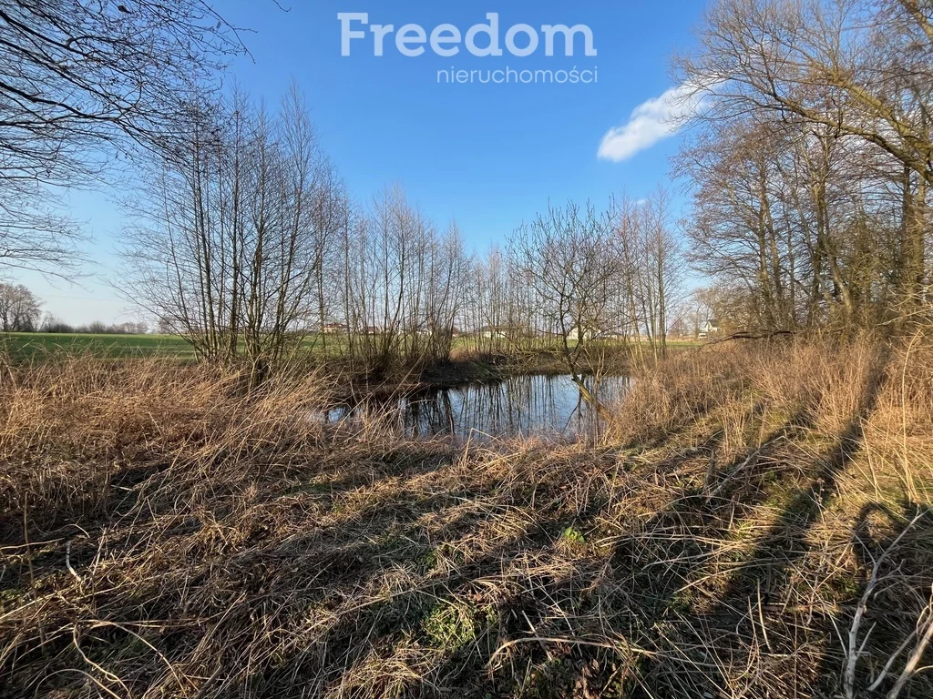 Działka 3 477,00 m², oferta nr , 10250/3685/OGS, Grębocin, Rogowska