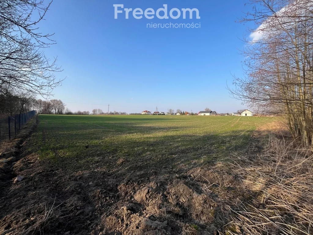 Działka 3 477,00 m², oferta nr , 10250/3685/OGS, Grębocin, Rogowska