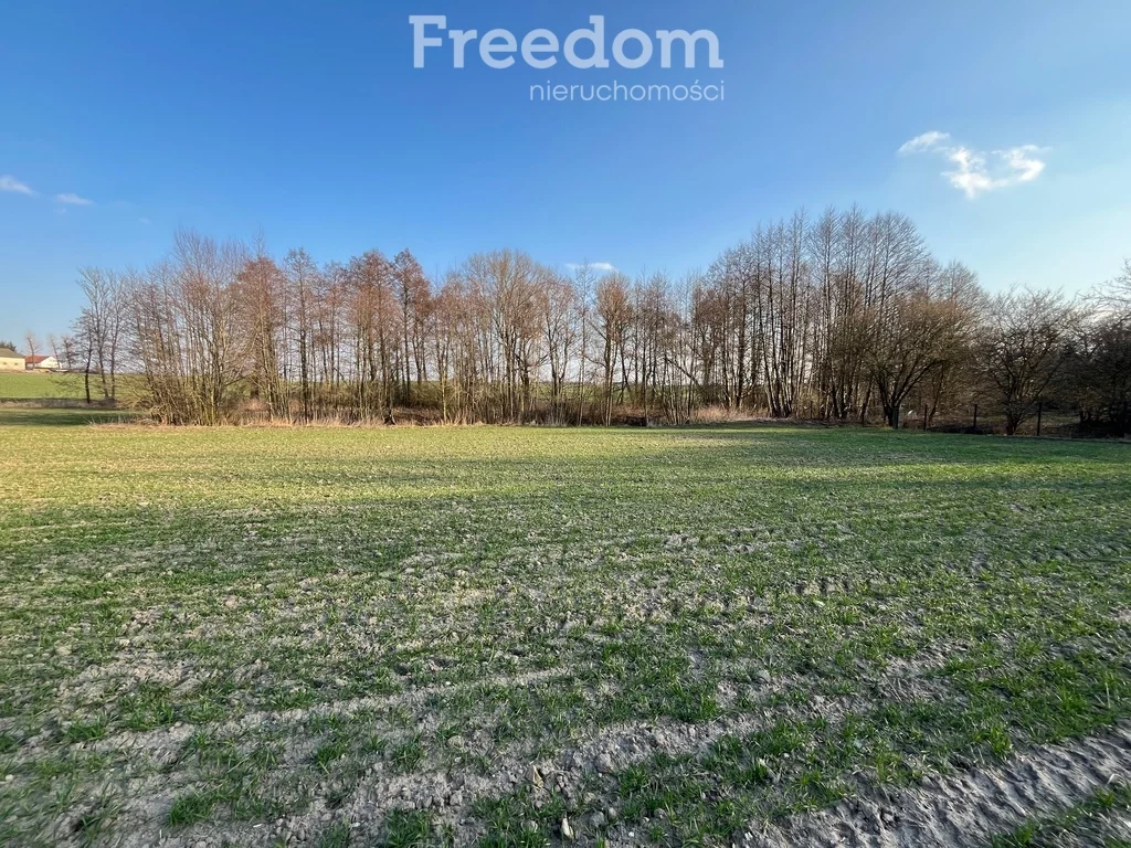 Działka 3 477,00 m², oferta nr , 10250/3685/OGS, Grębocin, Rogowska