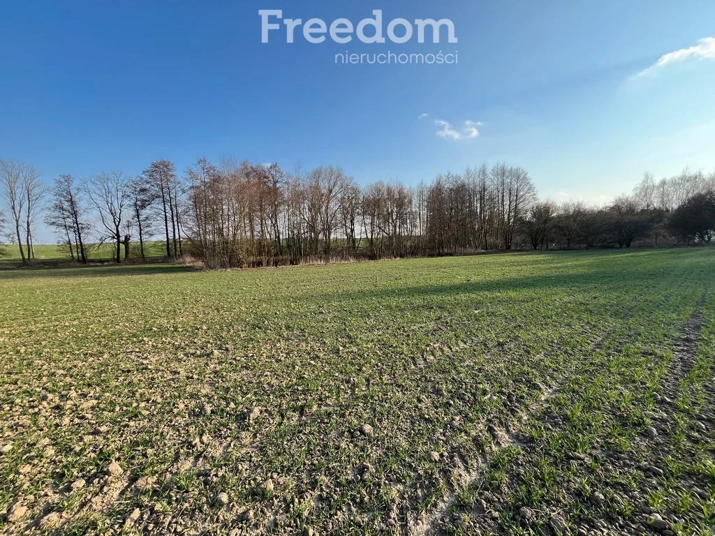 Działka 3 477,00 m², oferta nr , 10250/3685/OGS, Grębocin, Rogowska