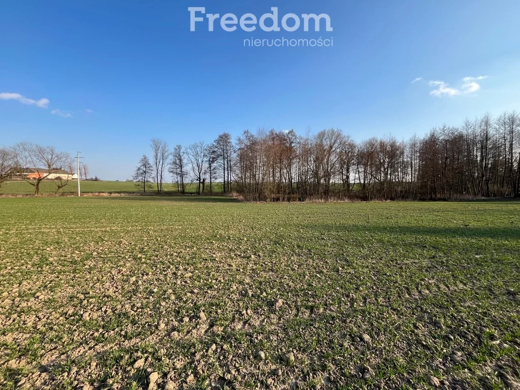 Działka 3 477,00 m², oferta nr , 10250/3685/OGS, Grębocin, Rogowska