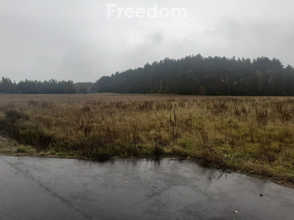 Działka 2 638,00 m², oferta nr , 11479/3685/OGS, Romanowo