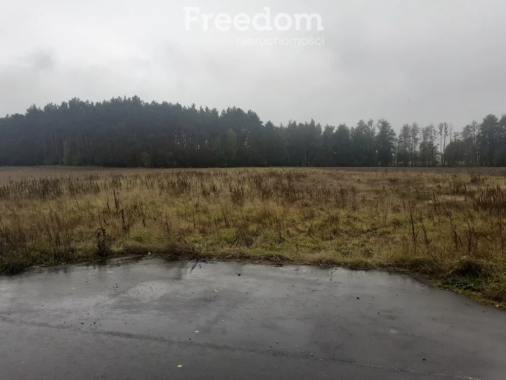 Działka 2 638,00 m², oferta nr , 11479/3685/OGS, Romanowo