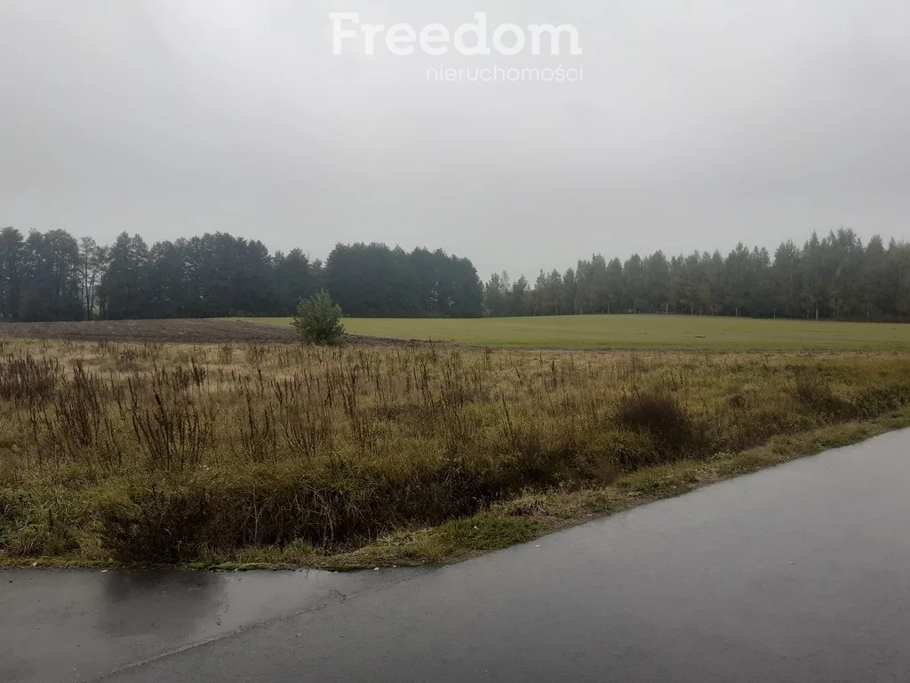Działka 2 638,00 m², oferta nr , 11479/3685/OGS, Romanowo