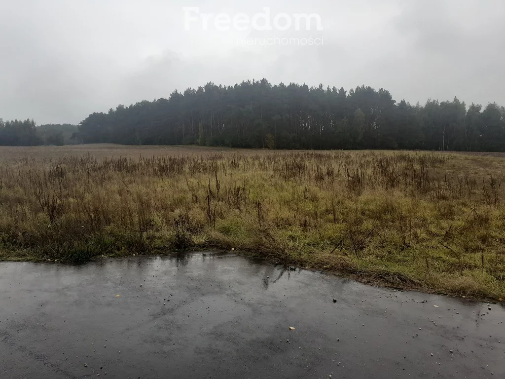 Działka 2 638,00 m², oferta nr , 11479/3685/OGS, Romanowo