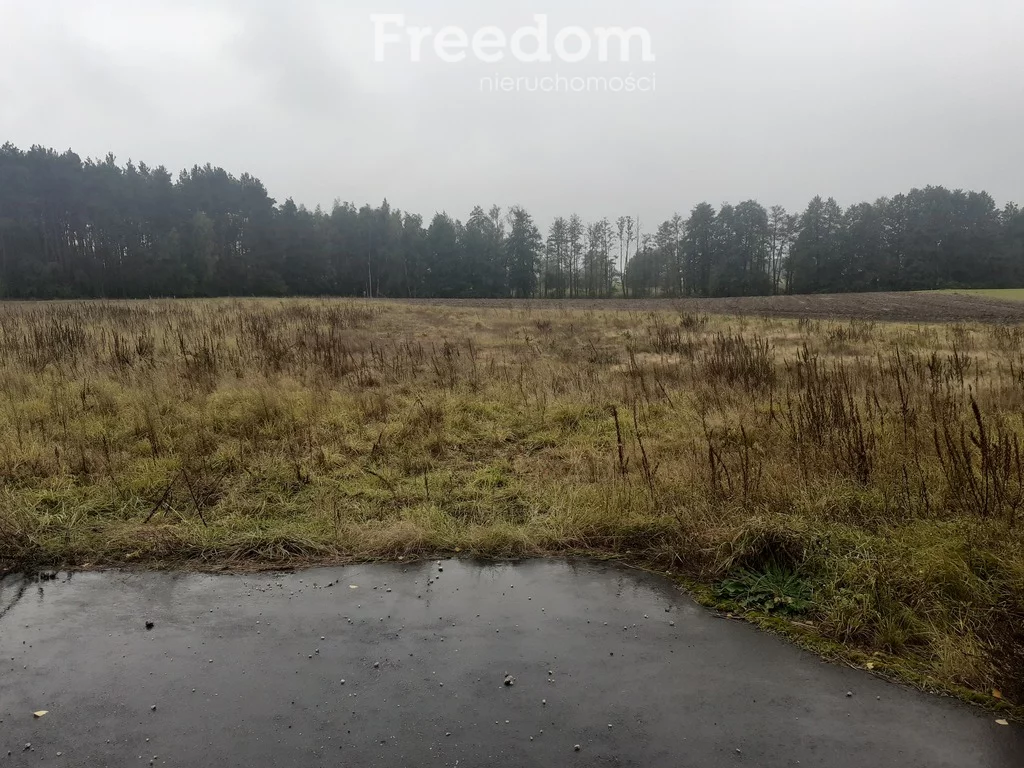 Działka 2 638,00 m², oferta nr , 11479/3685/OGS, Romanowo