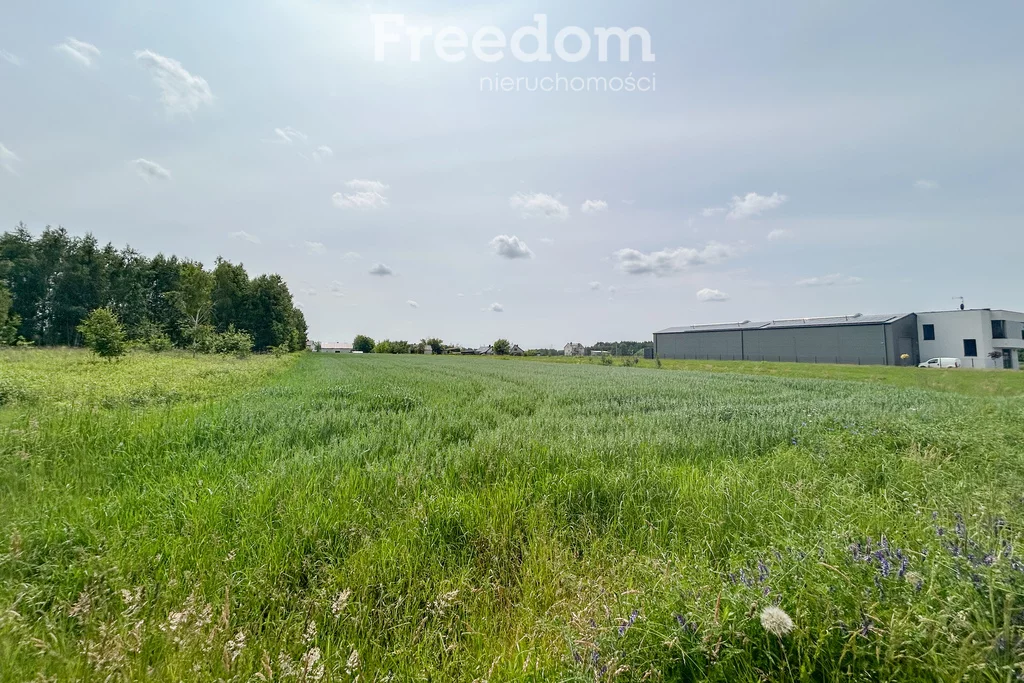 Działka 890,00 m², oferta nr , 10714/3685/OGS, Grębiszew, Rozwojowa
