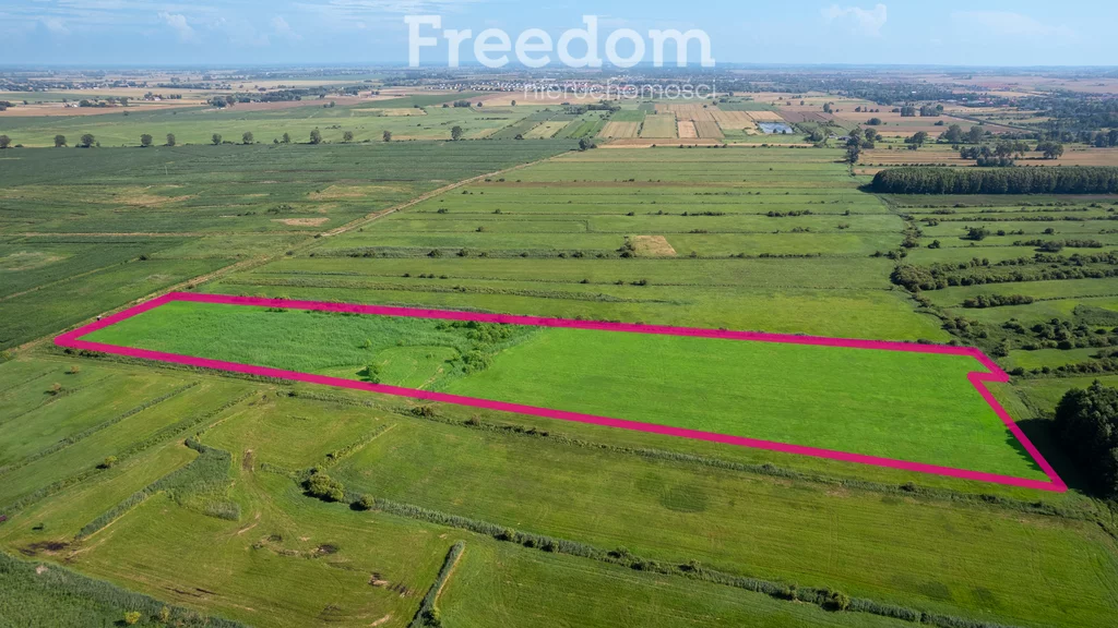 Działka 41 500,00 m², oferta nr , 11276/3685/OGS, Różyny