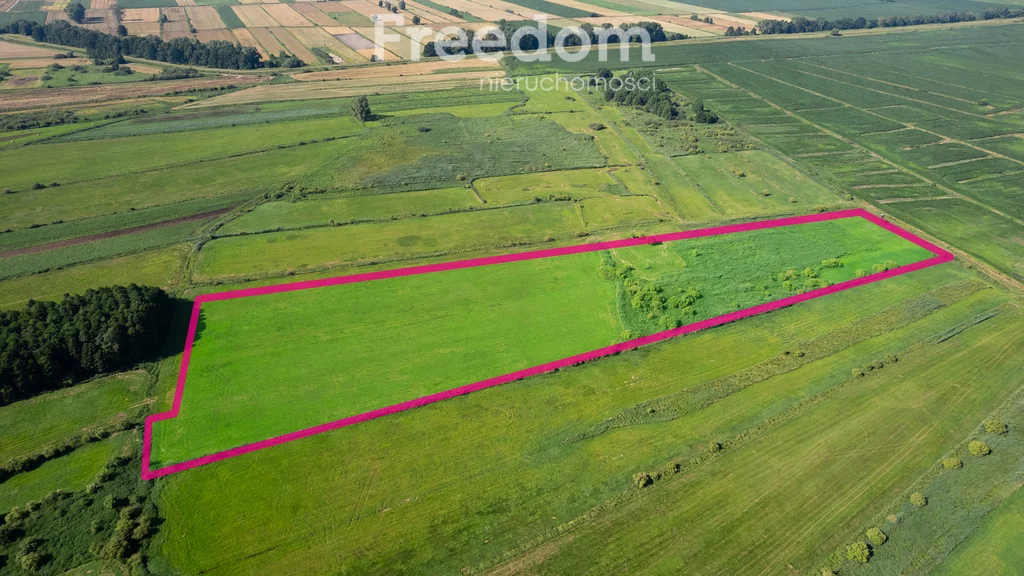 Działka 41 500,00 m², oferta nr , 11276/3685/OGS, Różyny