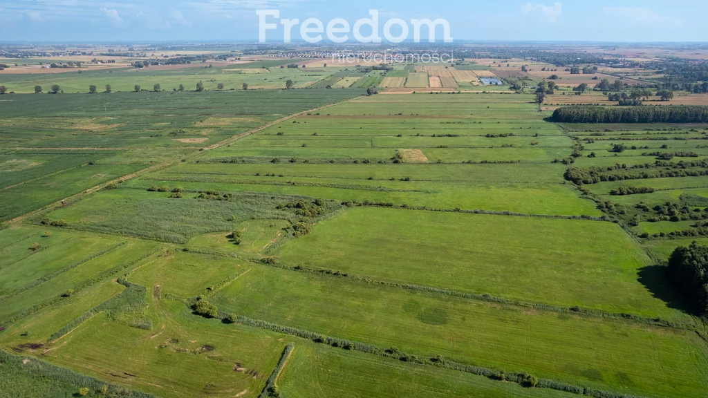 Działka 41 500,00 m², oferta nr , 11276/3685/OGS, Różyny