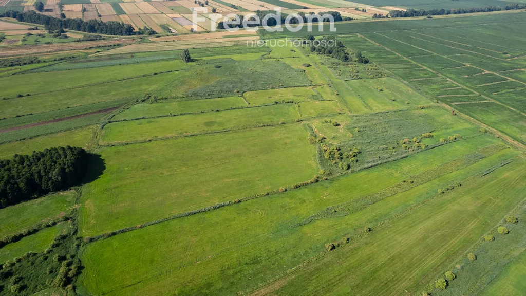 Działka 41 500,00 m², oferta nr , 11276/3685/OGS, Różyny