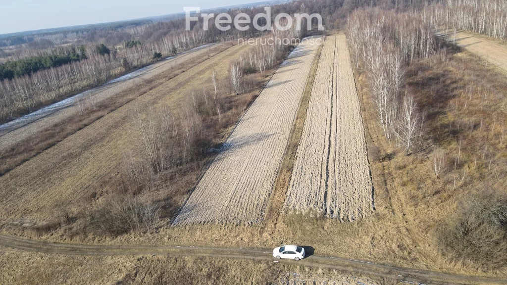 Działka 14 909,00 m², oferta nr , 10027/3685/OGS, Rudzienko
