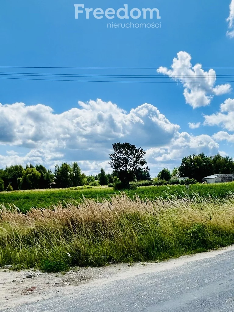 11086/3685/OGS - zdjęcie nr 0