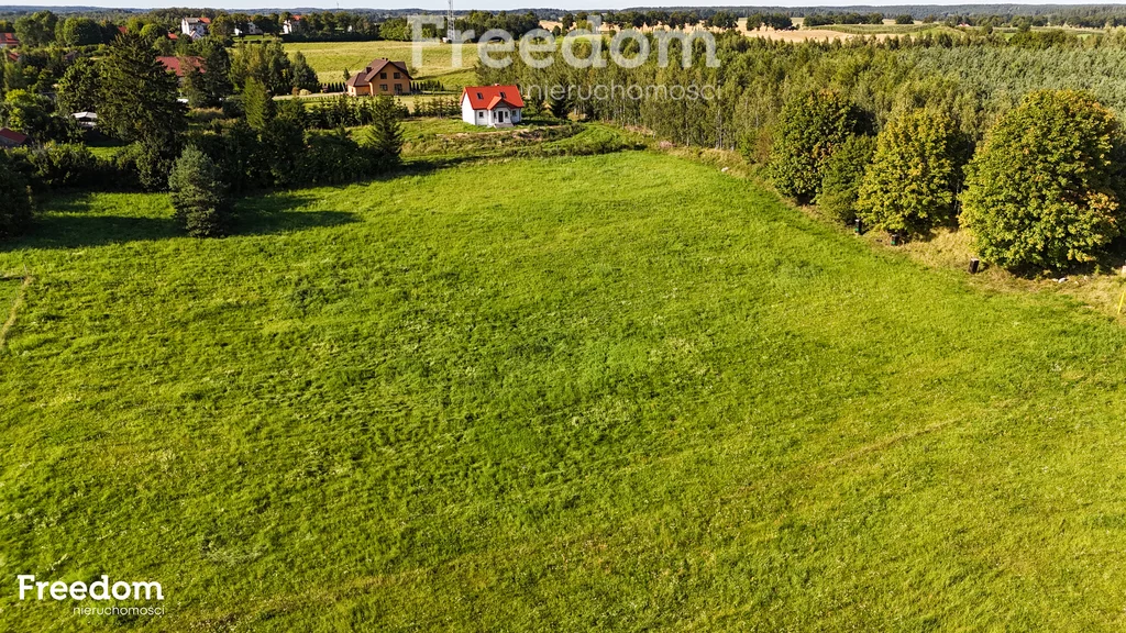 Działka 2 765,00 m², oferta nr , 11384/3685/OGS, Rybno