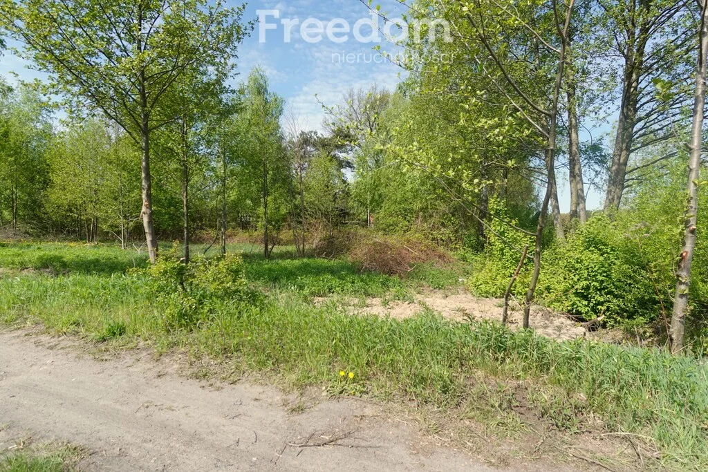 10477/3685/OGS - zdjęcie nr 1