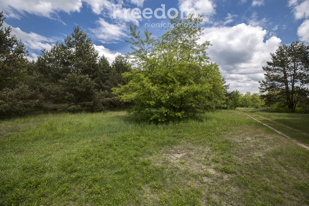 Działka 6 833,00 m², oferta nr , 10590/3685/OGS, Rudnik nad Sanem, Rzeszowska