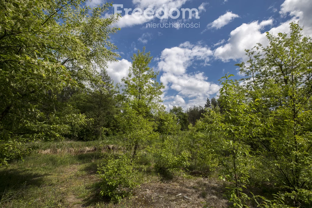 Działka 6 833,00 m², oferta nr , 10590/3685/OGS, Rudnik nad Sanem, Rzeszowska