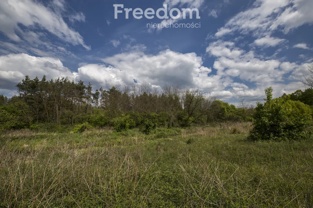 Działka 6 833,00 m², oferta nr , 10590/3685/OGS, Rudnik nad Sanem, Rzeszowska