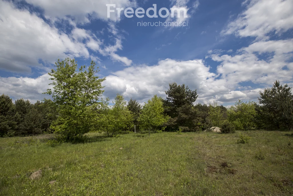 Działka 6 833,00 m², oferta nr , 10590/3685/OGS, Rudnik nad Sanem, Rzeszowska